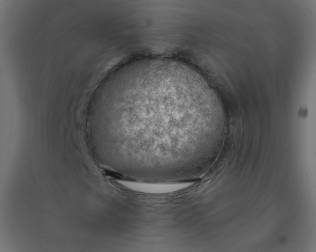 X0000094381249200711242014