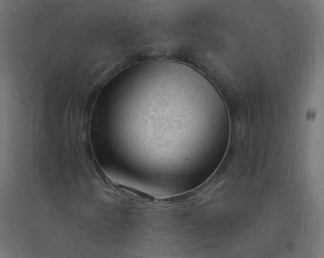 X0000094381250200711242014