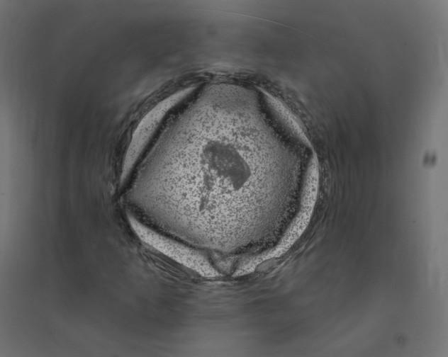 X0000094381253200711242014