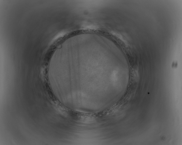 X0000094381254200711242014