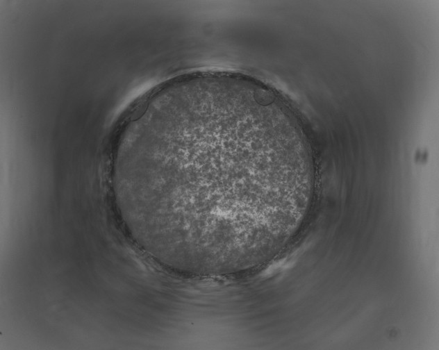 X0000094381255200711242014