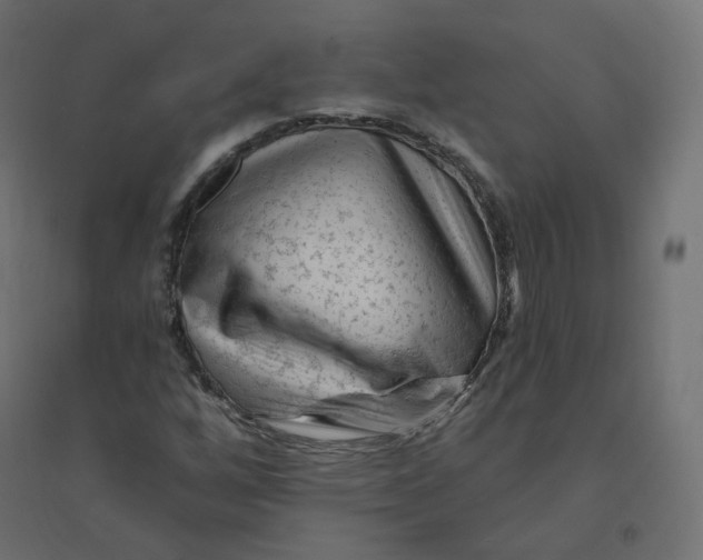 X0000094381256200711242014