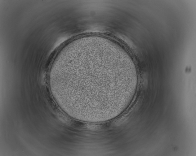 X0000094381258200711242014