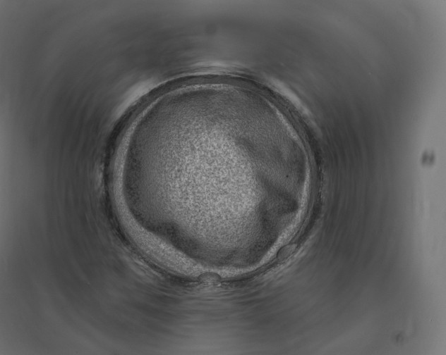 X0000094381259200711242014
