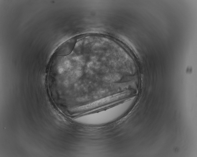 X0000094381260200711242014