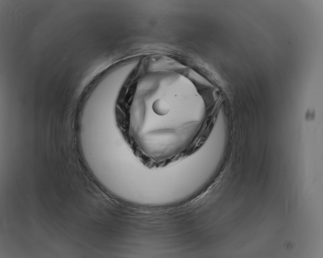 X0000094381261200711242014