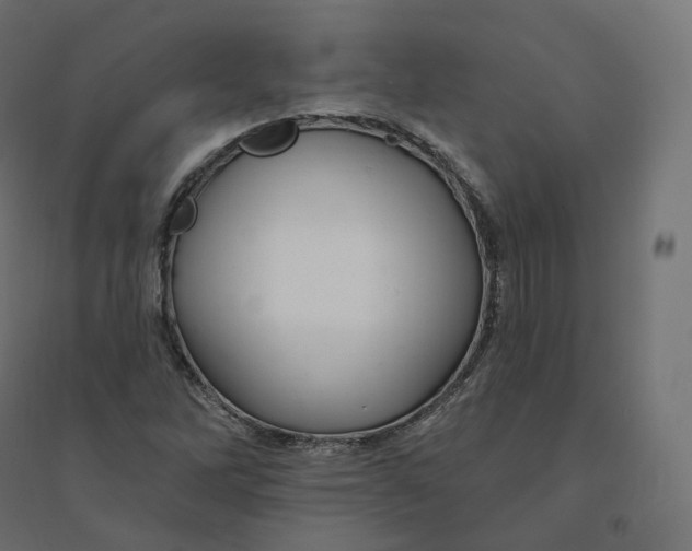 X0000094381262200711242014