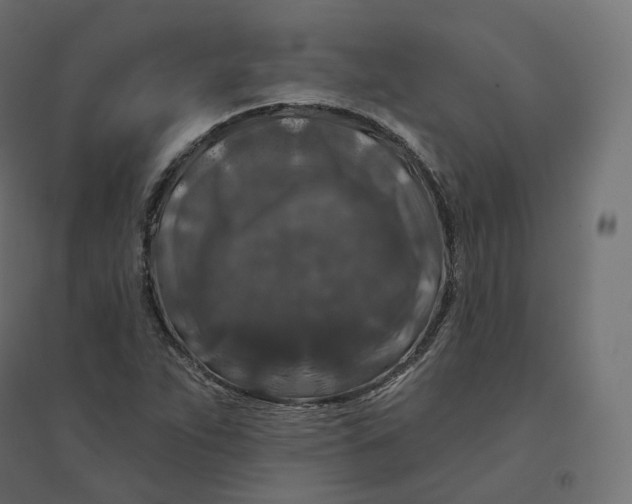 X0000094381263200711242014