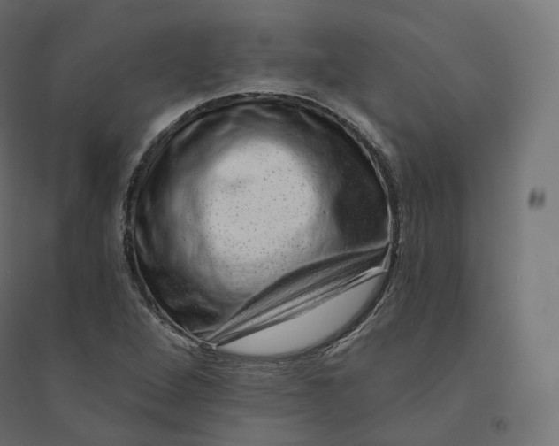 X0000094381264200711242014