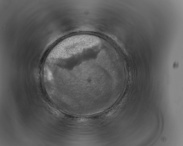 X0000094381266200711242014