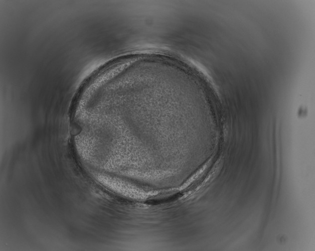 X0000094381267200711242014