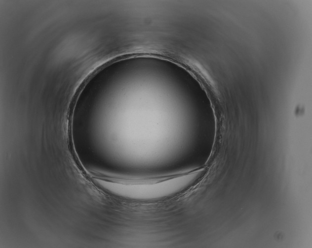 X0000094381268200711242014
