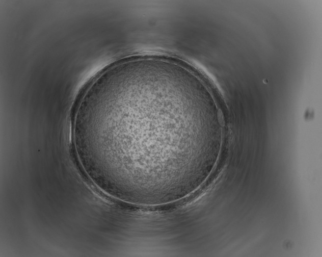 X0000094381269200711242014