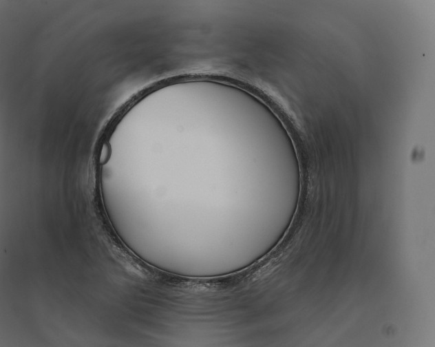 X0000094381270200711242014