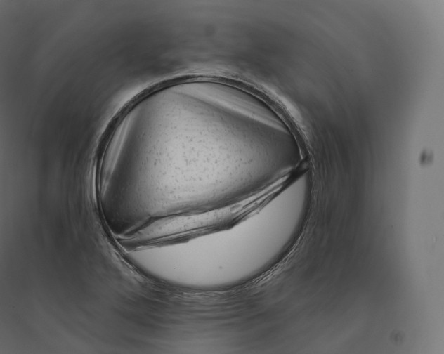 X0000094381272200711242014