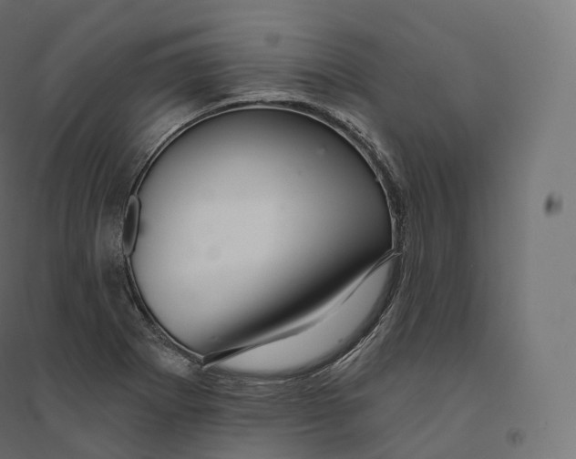 X0000094381273200711242014