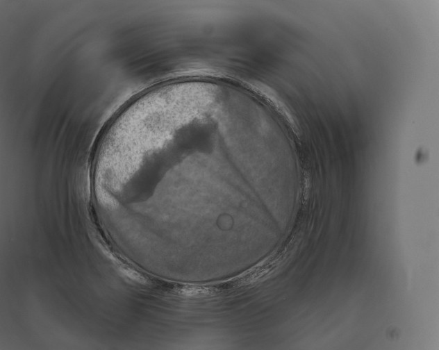 X0000094381274200711242014