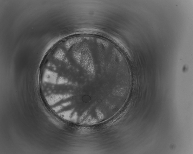 X0000094381275200711242014