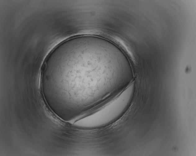 X0000094381276200711242014