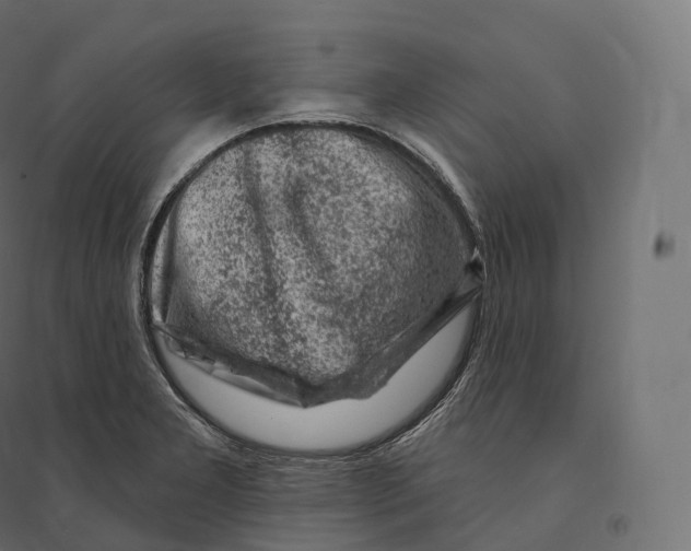 X0000094381277200711242014