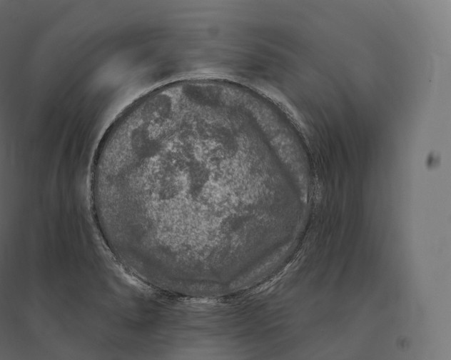 X0000094381278200711242014