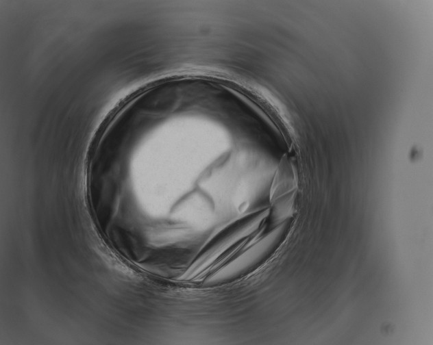 X0000094381280200711242014