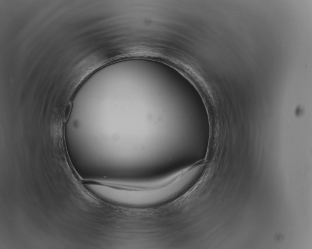 X0000094381281200711242014