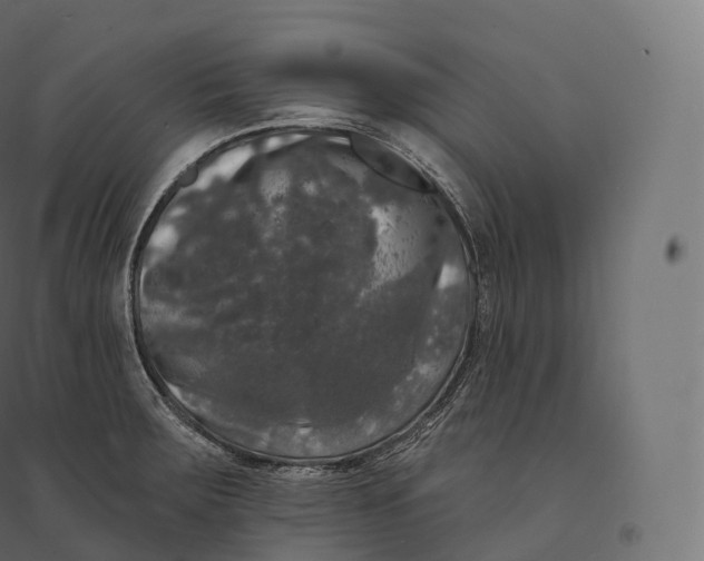 X0000094381283200711242014