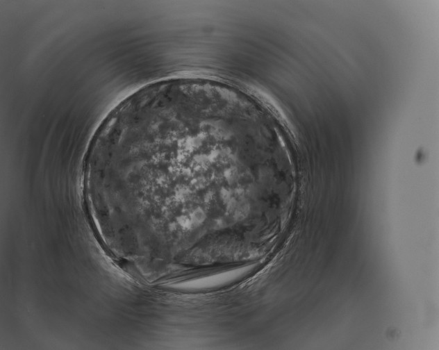 X0000094381284200711242014