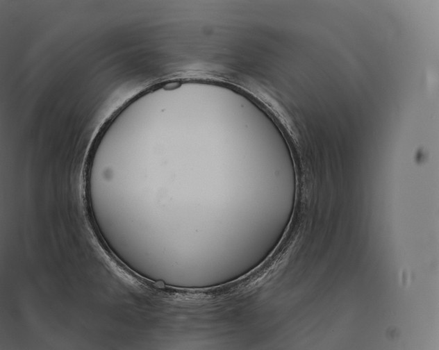 X0000094381285200711242014