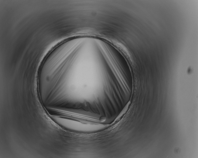 X0000094381288200711242014