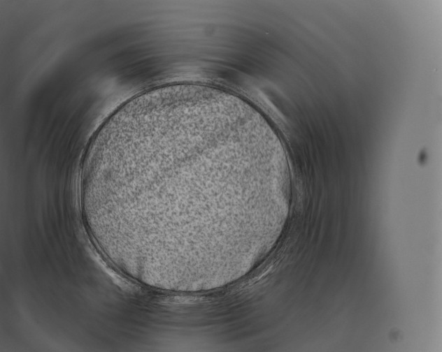 X0000094381290200711242014