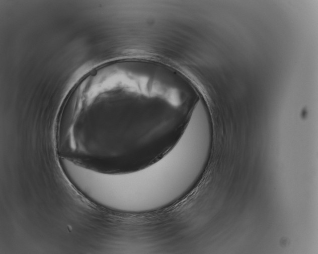 X0000094381291200711242014