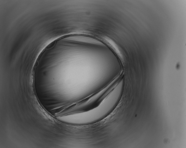 X0000094381292200711242014