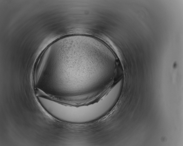 X0000094381293200711242014