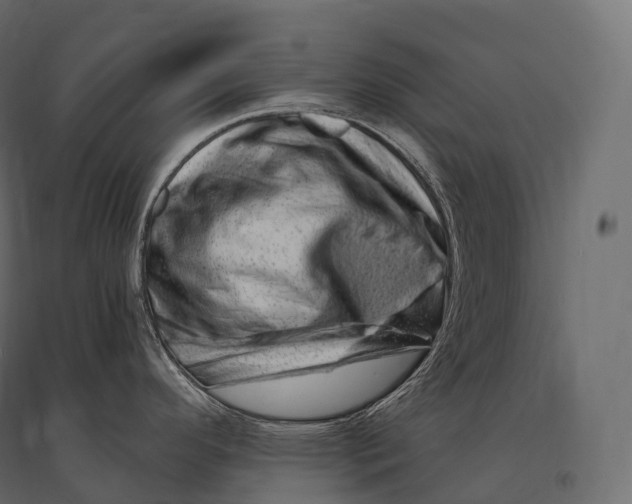 X0000094381296200711242014