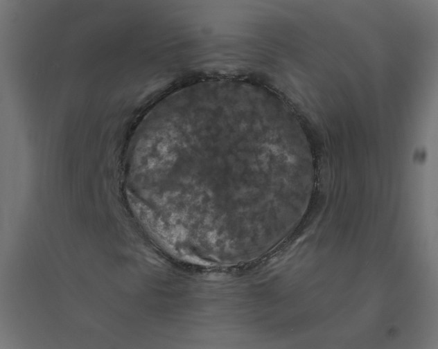 X0000094381297200711242013