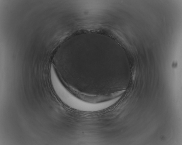 X0000094381298200711242013