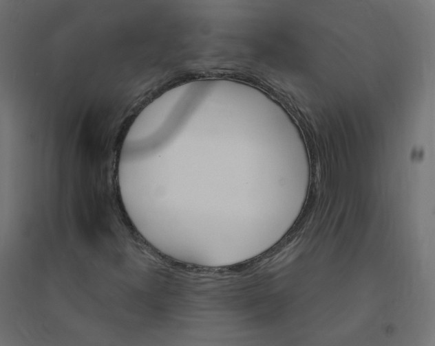 X0000094381300200711242013