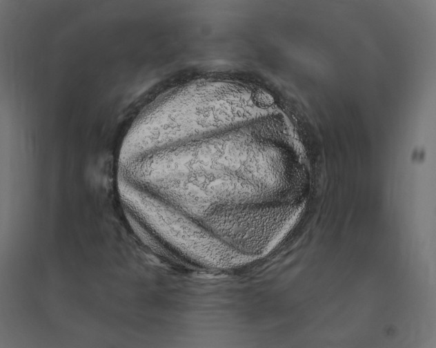 X0000094381301200711242013