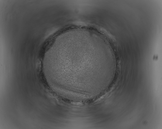 X0000094381302200711242013