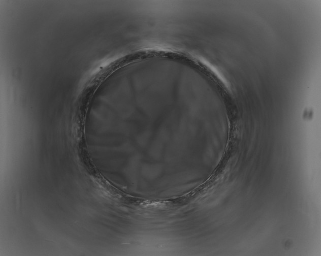 X0000094381303200711242013