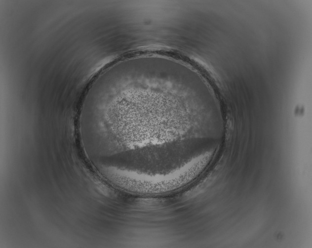 X0000094381305200711242013