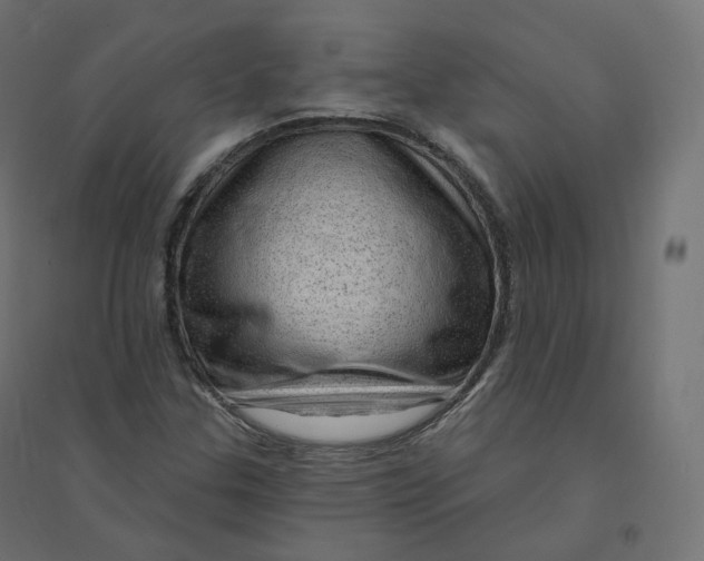 X0000094381307200711242013