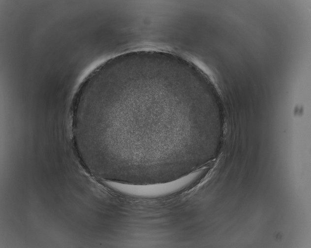 X0000094381310200711242013