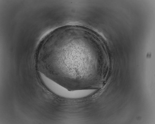 X0000094381311200711242013