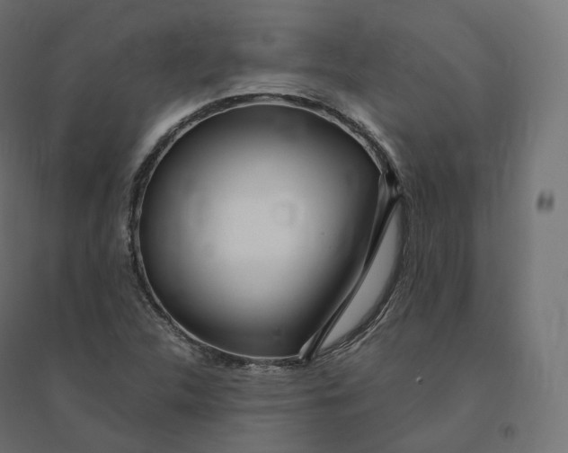 X0000094381312200711242013