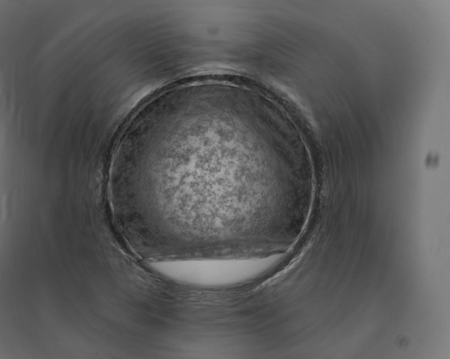 X0000094381313200711242013