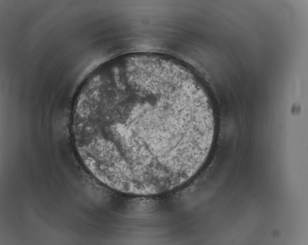 X0000094381314200711242013