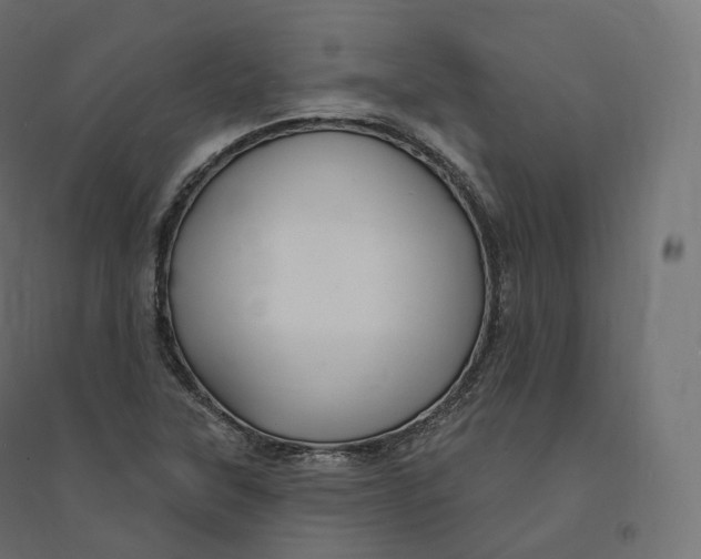 X0000094381315200711242013